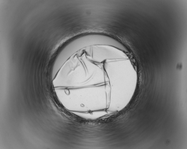 X0000114200684200911201000