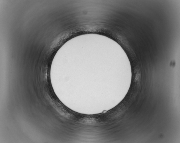 X0000114200685200911201000