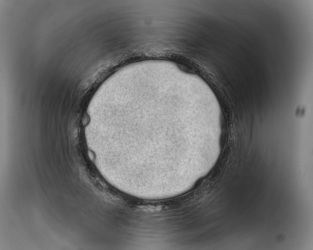 X0000114200687200911201000