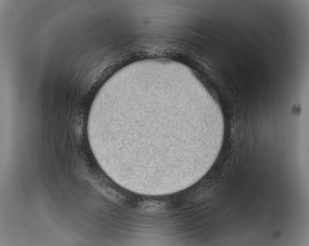 X0000114200691200911201000