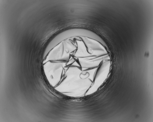 X0000114200692200911201000