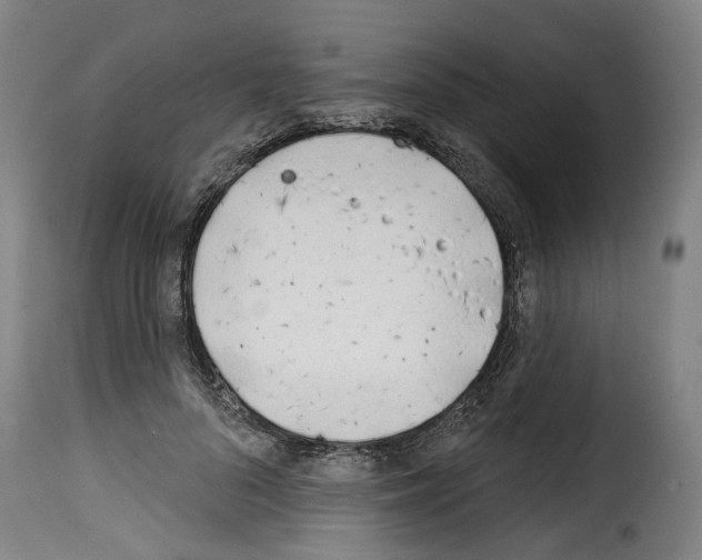 X0000114200696200911201000