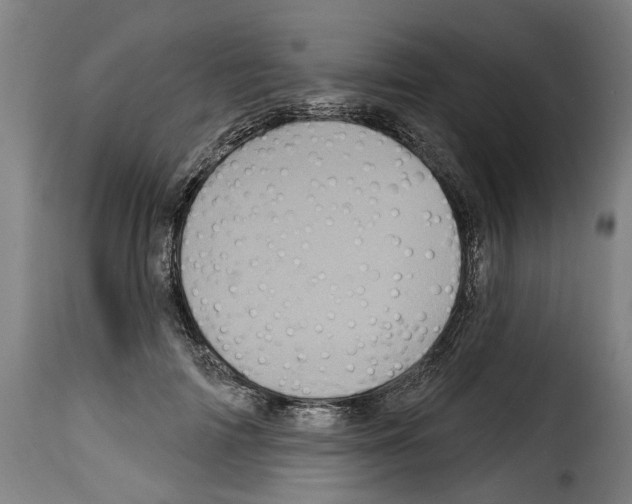 X0000114200698200911201000