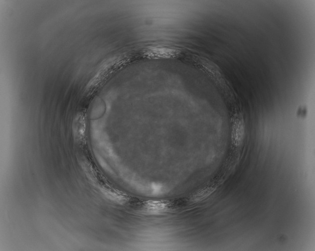 X0000114200701200911201000