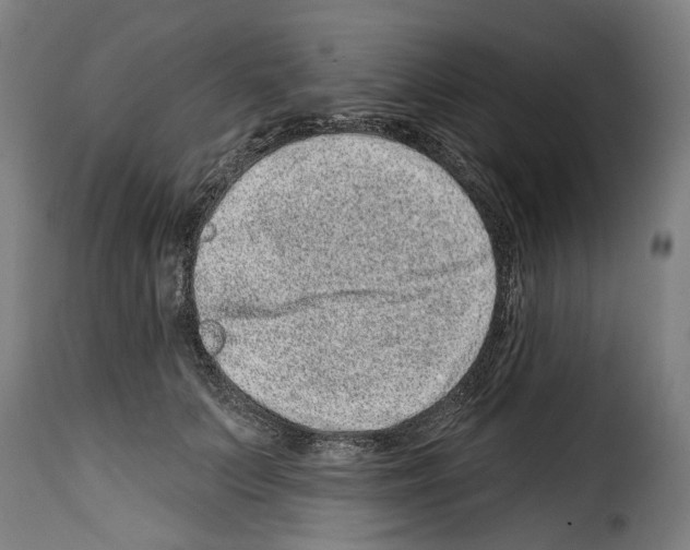 X0000114200703200911201000