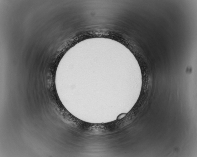 X0000114200704200911201000