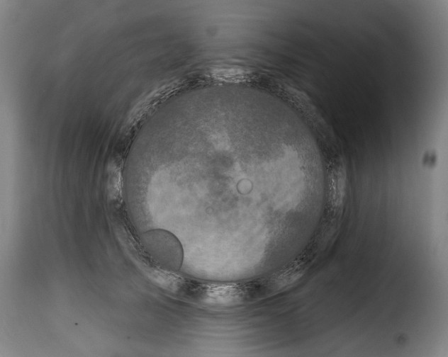 X0000114200705200911201000