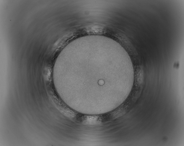 X0000114200709200911201000