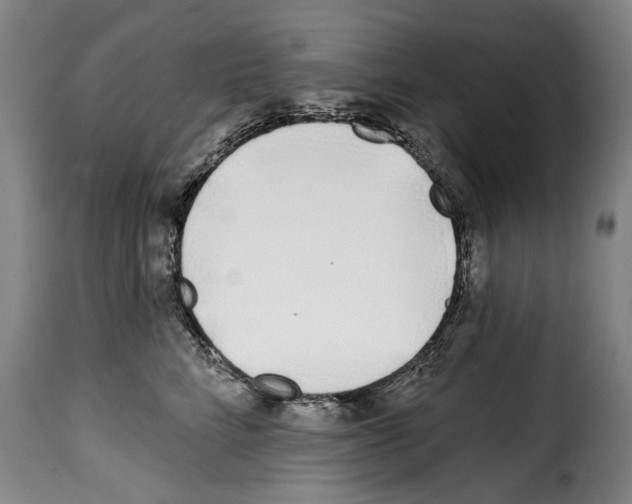 X0000114200712200911201000