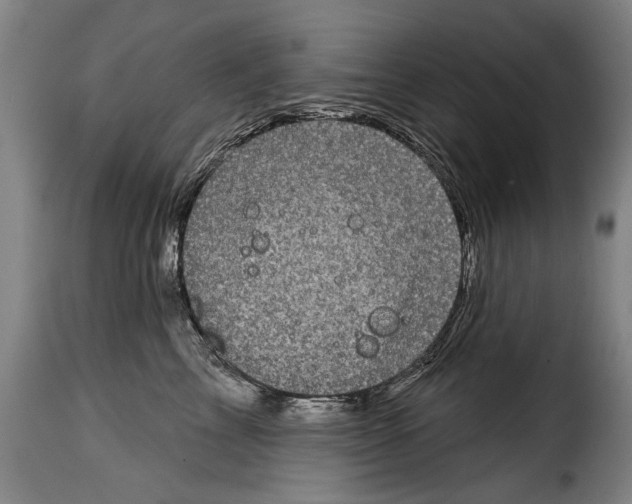 X0000114200713200911201000