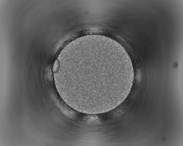 X0000114200715200911201000