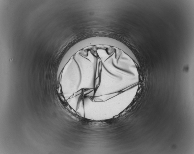 X0000114200716200911201000