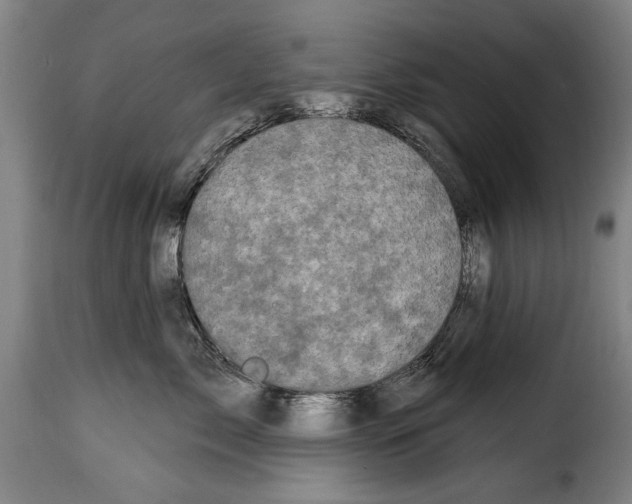 X0000114200717200911201000