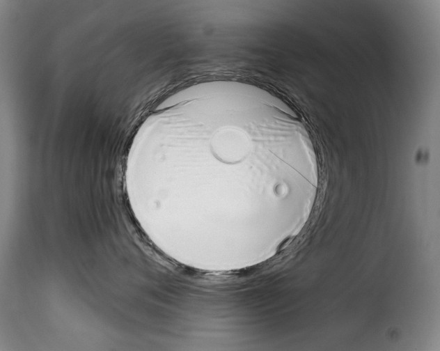 X0000114200720200911201000