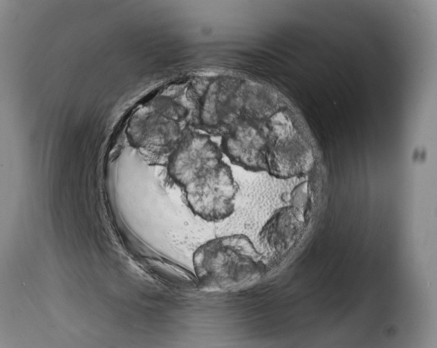 X0000114200721200911200959