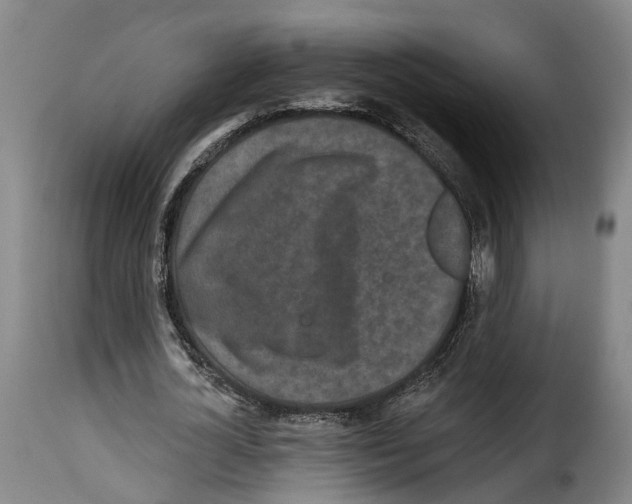 X0000114200724200911200959