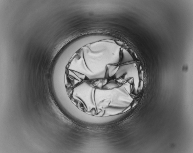 X0000114200725200911200959