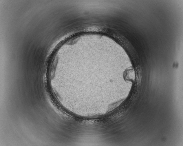 X0000114200728200911200959