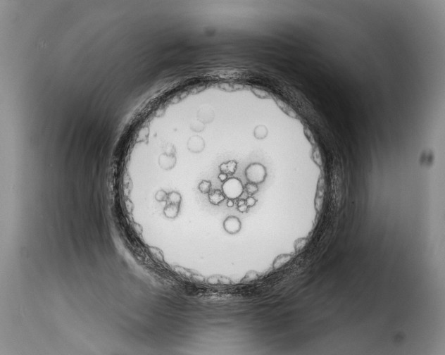 X0000114200730200911200959