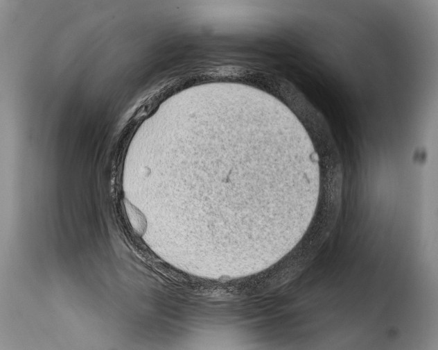 X0000114200731200911200959