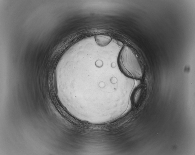 X0000114200734200911200959