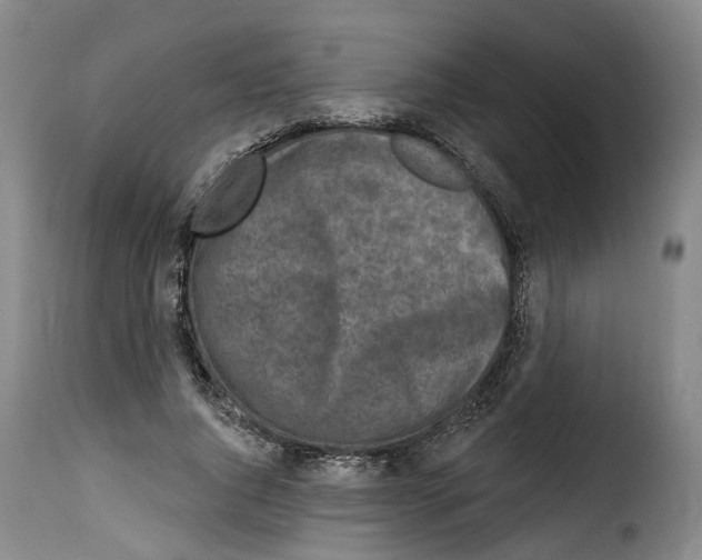 X0000114200736200911200959