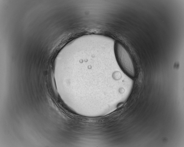 X0000114200738200911200959