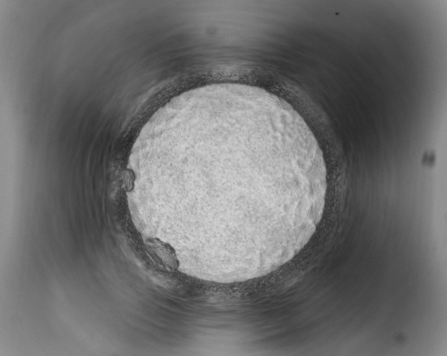 X0000114200741200911200959