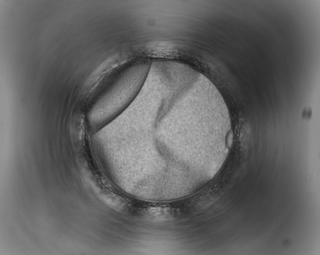 X0000114200744200911200959