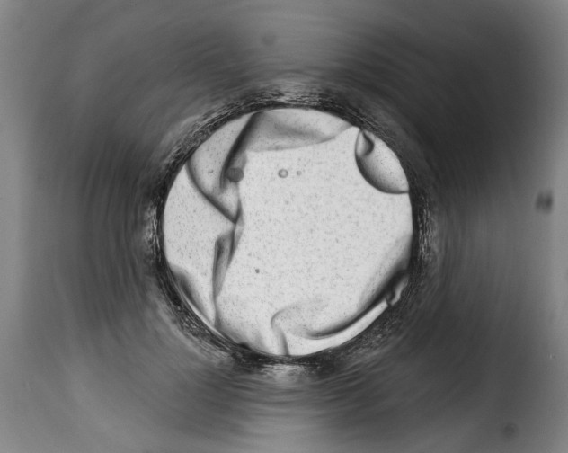 X0000114200748200911200959