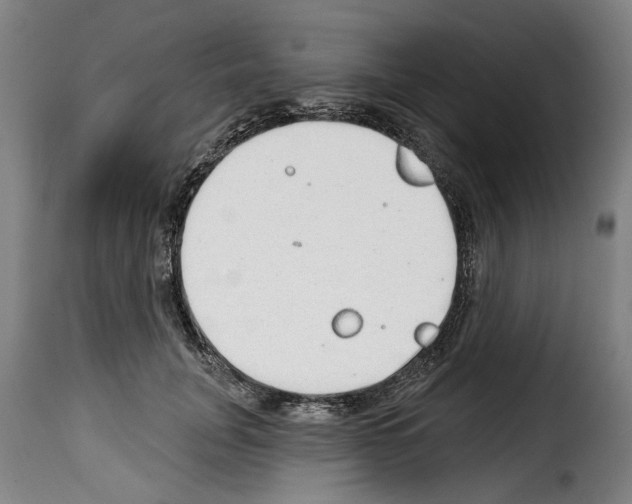 X0000114200751200911200959