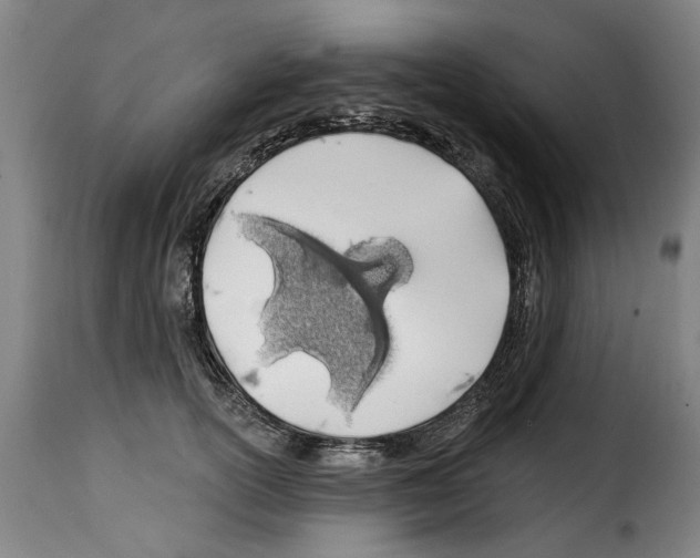 X0000114200754200911200959