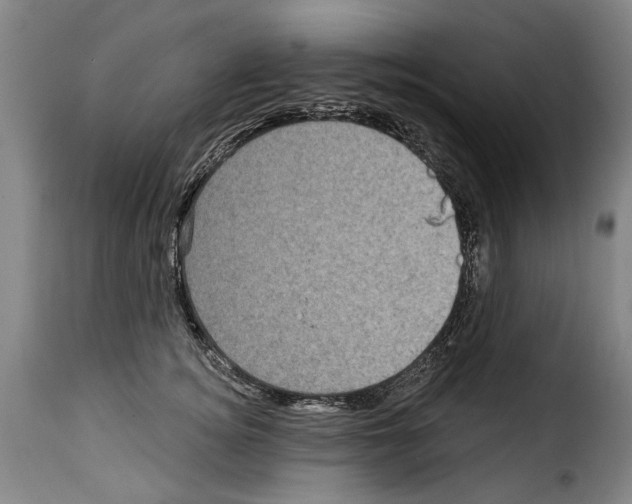 X0000114200756200911200959