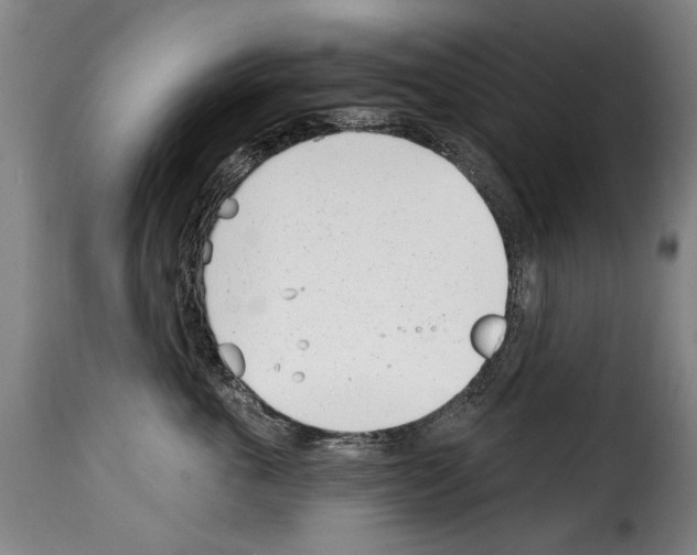 X0000114200763200911200959