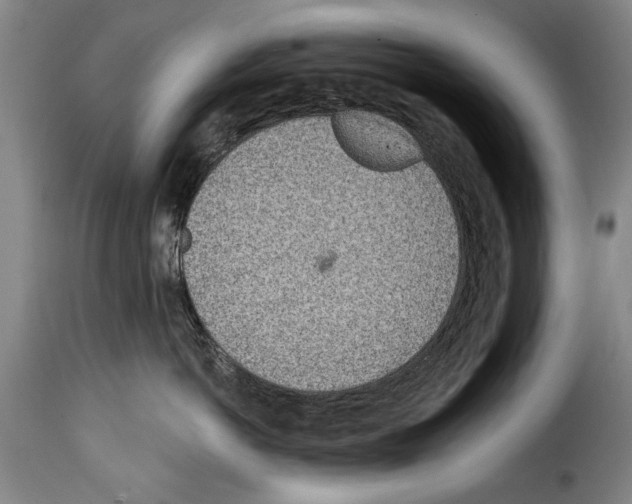 X0000114200766200911200959