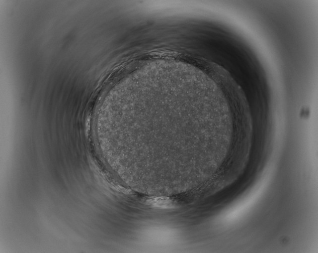 X0000114200767200911201000