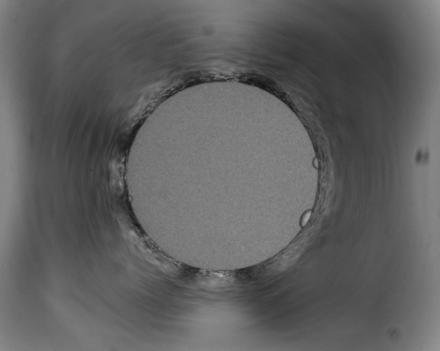 X0000114200768200911201000