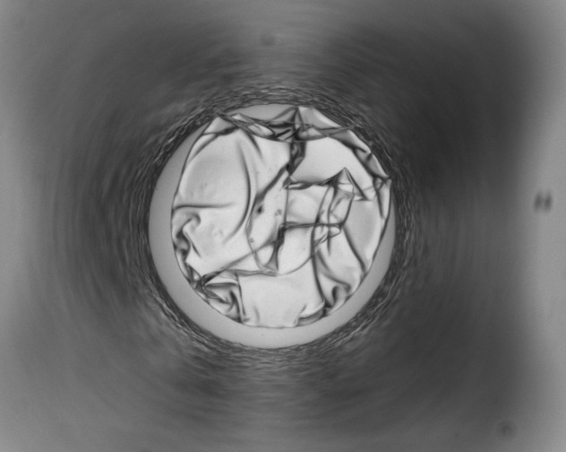 X0000114200769200911200959