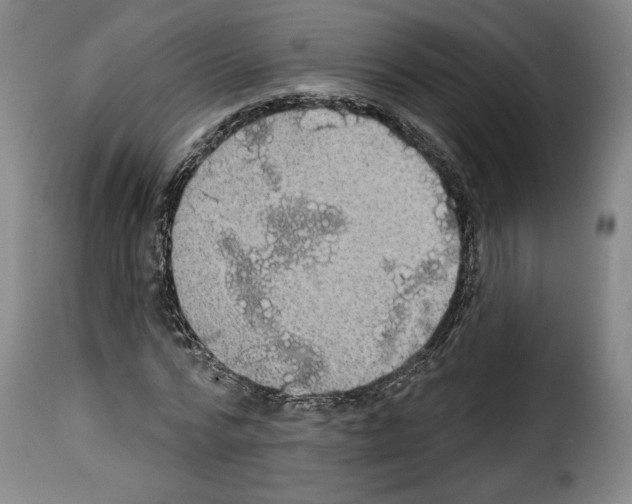 X0000114200776200911200959