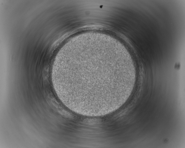 X0000114200778200911200959