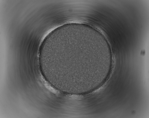 X0000114200779200911200959