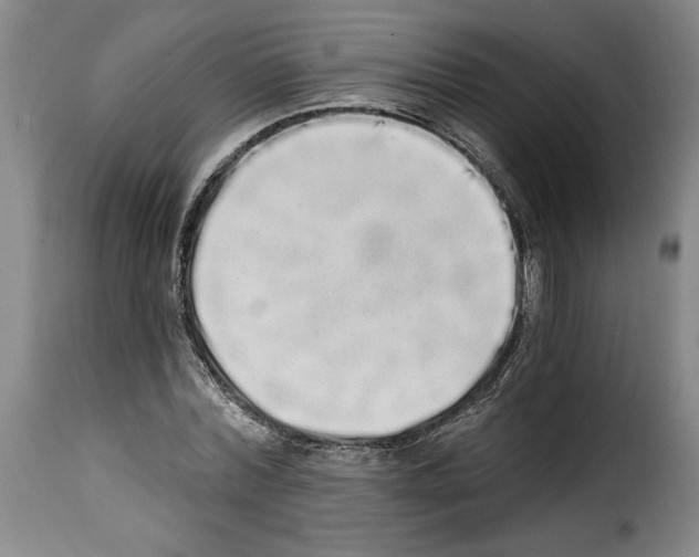 X0000114200780200911200959