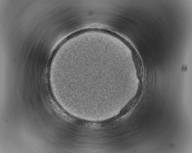 X0000114200783200911200959