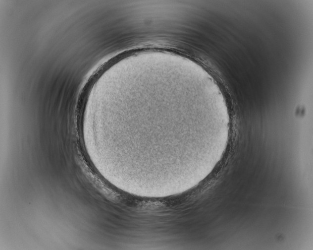 X0000114200784200911200959