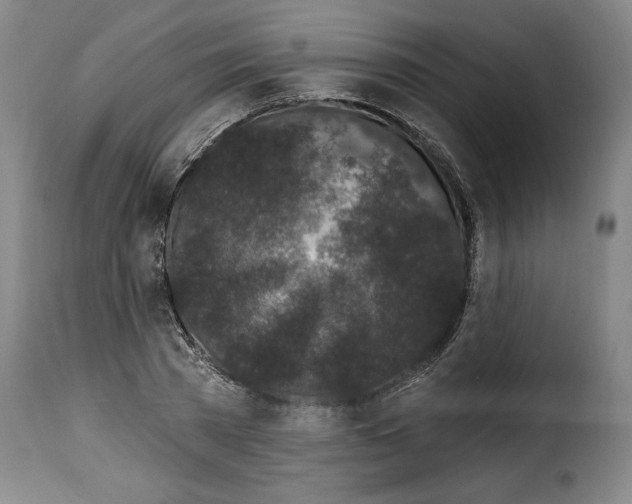 X0000114200785200911200959