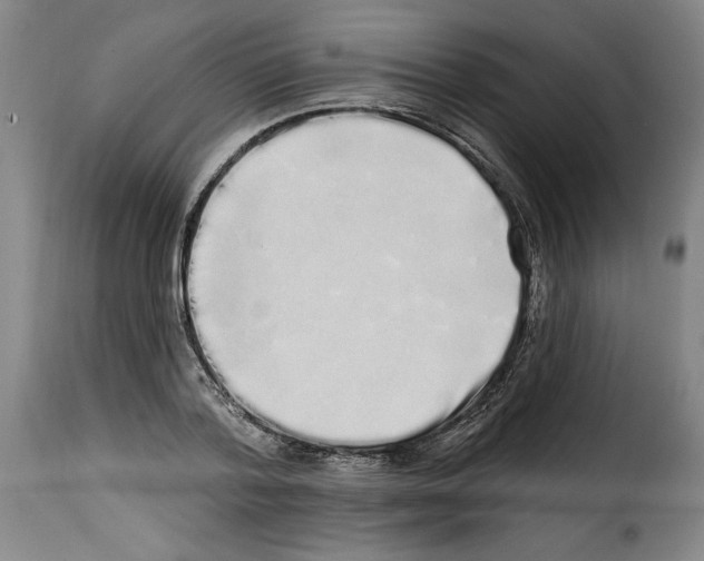 X0000114200788200911200958