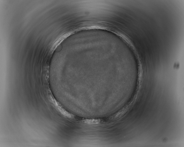 X0000114200793200911200958