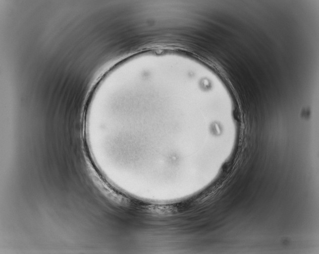 X0000114200795200911200958