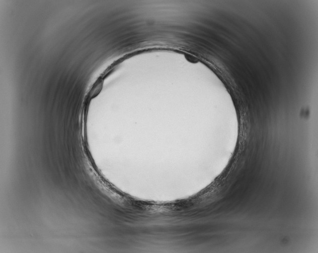 X0000114200796200911200958