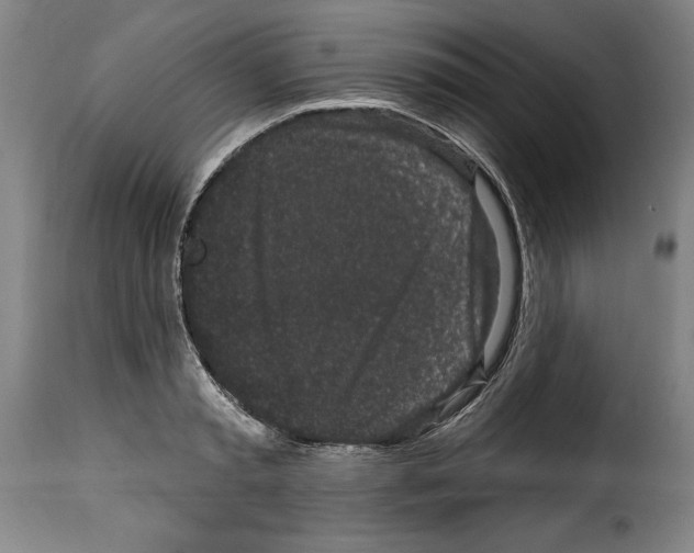 X0000114200797200911200958